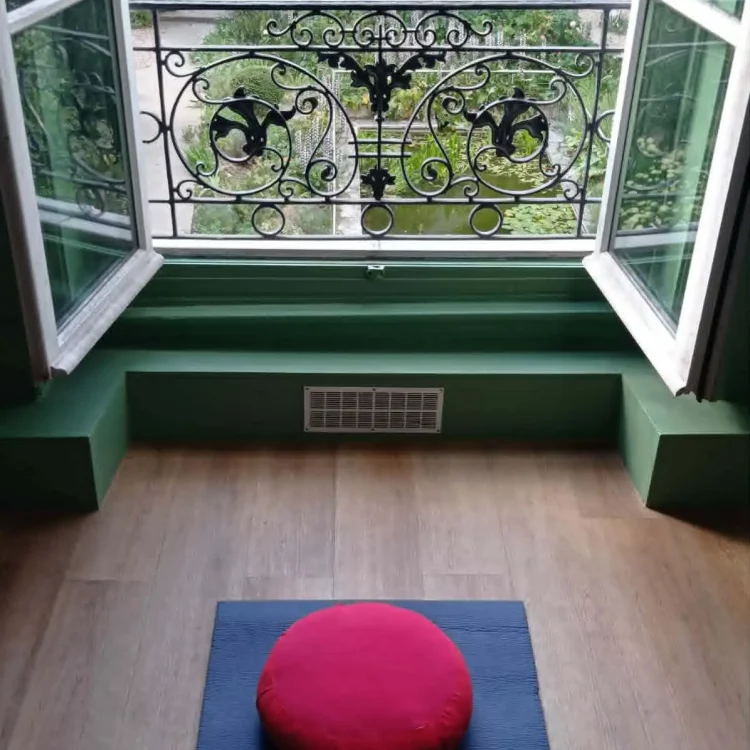 tapis-yoga-vue-jardin-forum104